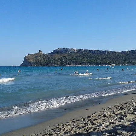 Da Virgilio *